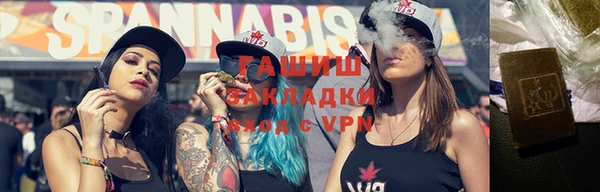 шишки Дмитров