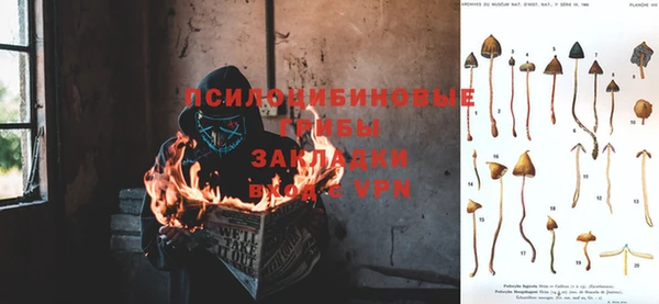 сатива Гусиноозёрск