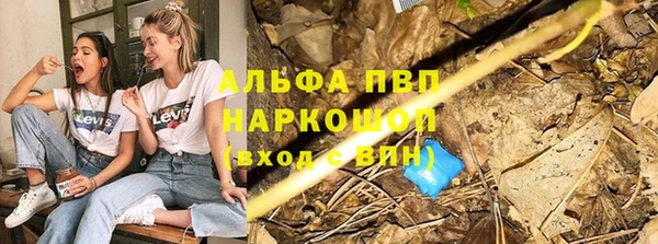 сатива Дмитриев