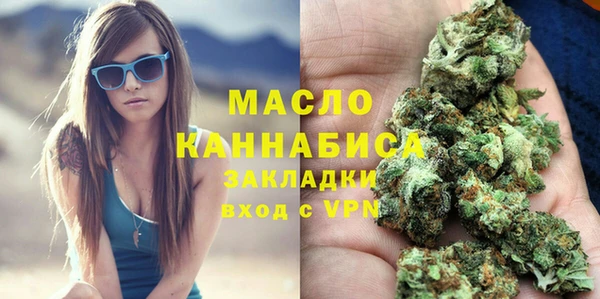 твердый Дмитровск