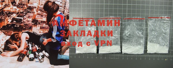 твердый Дмитровск