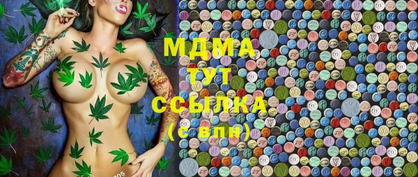 сатива Дмитриев