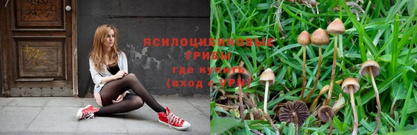 сатива Дмитриев