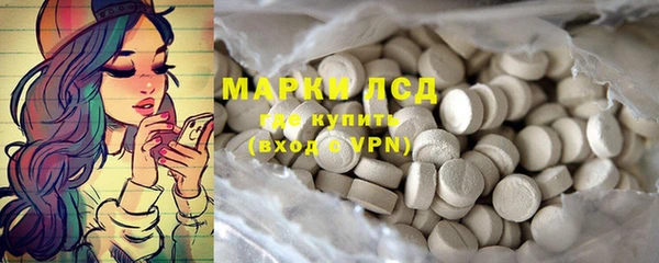 сатива Гусиноозёрск