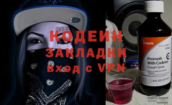 шишки Дмитров