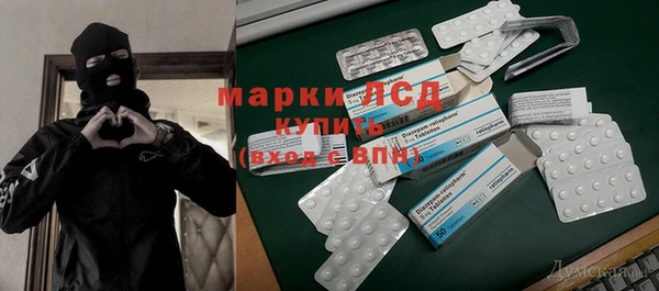 сатива Дмитриев