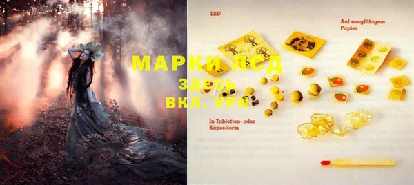 шишки Дмитров