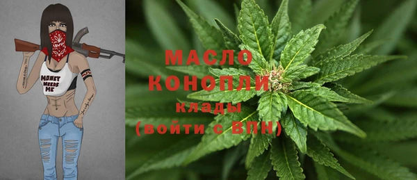 сатива Дмитриев