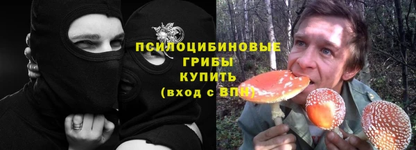 кристаллы Гусев